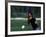 Baseball Player Hitting the Ball-Bill Bachmann-Framed Photographic Print