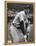 Baseball Player Joe Di Maggio Kneeling in His New York Yankee Uniform-Alfred Eisenstaedt-Framed Premier Image Canvas