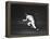 Baseball Player Mickey Mantle-John Dominis-Framed Premier Image Canvas