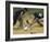 Baseball Player Sliding on a Base-null-Framed Photographic Print