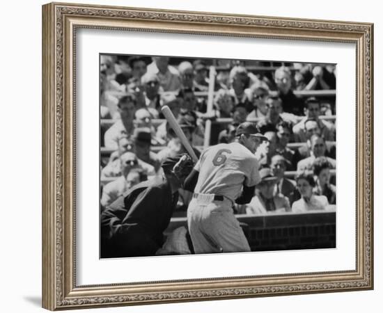 Baseball Player Stan Musial Standing at Bat-null-Framed Premium Photographic Print