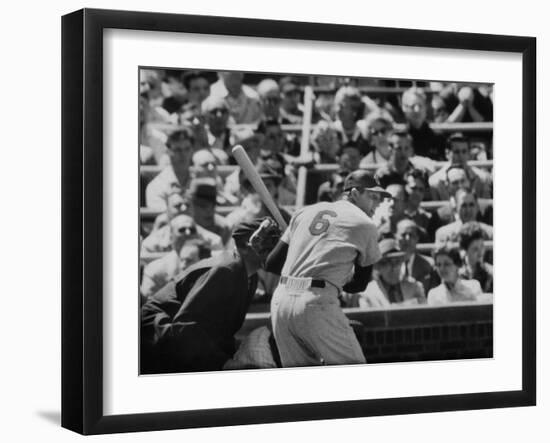 Baseball Player Stan Musial Standing at Bat-null-Framed Premium Photographic Print