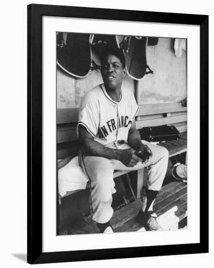 Premium Photographic Print, , large