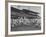 Baseball Players Catch Ball Thrown by Pres. Harry S. Truman at Opening Game for Washington Senators-Marie Hansen-Framed Premium Photographic Print