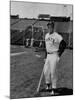 Baseball Star, Willie Mays on the Field-null-Mounted Premium Photographic Print