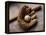 Baseball Still Life-null-Framed Premier Image Canvas