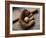 Baseball Still Life-null-Framed Photographic Print