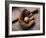 Baseball Still Life-null-Framed Photographic Print