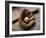 Baseball Still Life-null-Framed Photographic Print