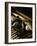 Baseball Still Life-null-Framed Photographic Print