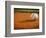 Baseball-Randy Faris-Framed Photographic Print