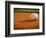 Baseball-Randy Faris-Framed Photographic Print