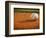 Baseball-Randy Faris-Framed Photographic Print