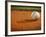 Baseball-Randy Faris-Framed Photographic Print