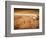 Baseball-Randy Faris-Framed Photographic Print