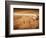 Baseball-Randy Faris-Framed Photographic Print