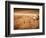 Baseball-Randy Faris-Framed Photographic Print