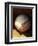 Baseball-Randy Faris-Framed Photographic Print