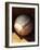 Baseball-Randy Faris-Framed Photographic Print