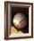 Baseball-Randy Faris-Framed Photographic Print