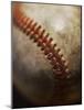 Baseball-Randy Faris-Mounted Photographic Print