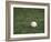 Baseball-Steven Sutton-Framed Photographic Print