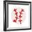 Baseball-Jace Grey-Framed Art Print