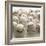 Baseballs-null-Framed Photographic Print