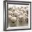 Baseballs-null-Framed Photographic Print