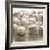 Baseballs-null-Framed Photographic Print