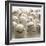 Baseballs-null-Framed Photographic Print