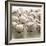 Baseballs-null-Framed Photographic Print