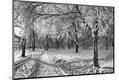 Photographic Print
