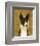 Basenji (Black)-John W^ Golden-Framed Art Print