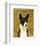 Basenji (Black)-John W^ Golden-Framed Art Print