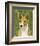 Basenji (Red)-John Golden-Framed Giclee Print