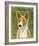 Basenji (Red)-John Golden-Framed Giclee Print