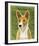 Basenji (Red)-John Golden-Framed Giclee Print