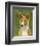 Basenji (Red)-John W^ Golden-Framed Art Print