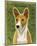 Basenji (Red)-John W^ Golden-Mounted Art Print