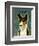 Basenji (Tri-Color)-John W^ Golden-Framed Art Print