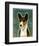 Basenji (Tri-Color)-John W^ Golden-Framed Art Print