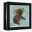 Bashful Bear-Morgan Yamada-Framed Stretched Canvas