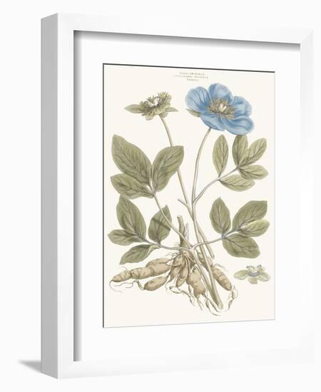 Bashful Blue Florals I-John Miller-Framed Art Print