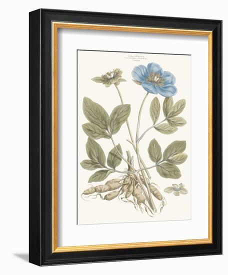 Bashful Blue Florals I-John Miller-Framed Art Print