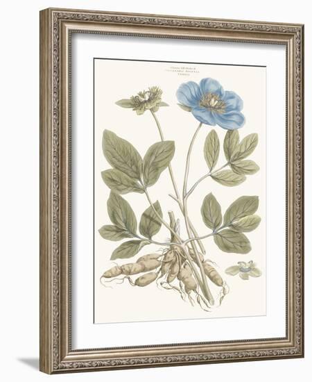 Bashful Blue Florals I-John Miller-Framed Art Print