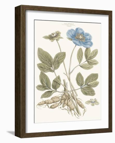 Bashful Blue Florals I-John Miller-Framed Art Print