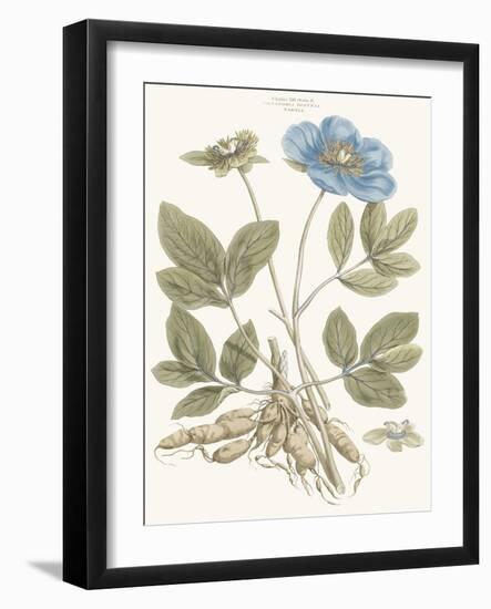 Bashful Blue Florals I-John Miller-Framed Art Print