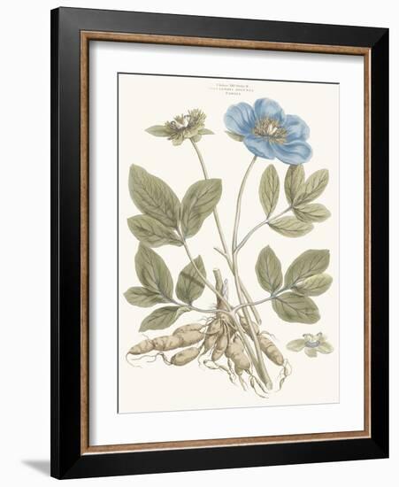 Bashful Blue Florals I-John Miller-Framed Art Print