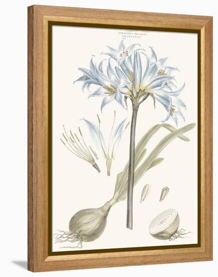 Bashful Blue Florals II-John Miller-Framed Stretched Canvas